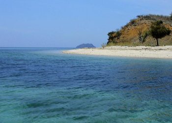 Kisah Pulau Babi di NTT yang Pernah Dihantam Tsunami Kini Tampil Indah Kembali
