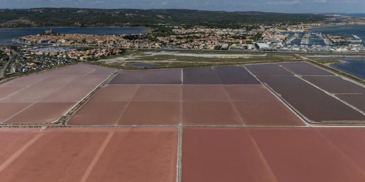 Ladang Garam Merah Muda yang Menawan di Gruissan Prancis