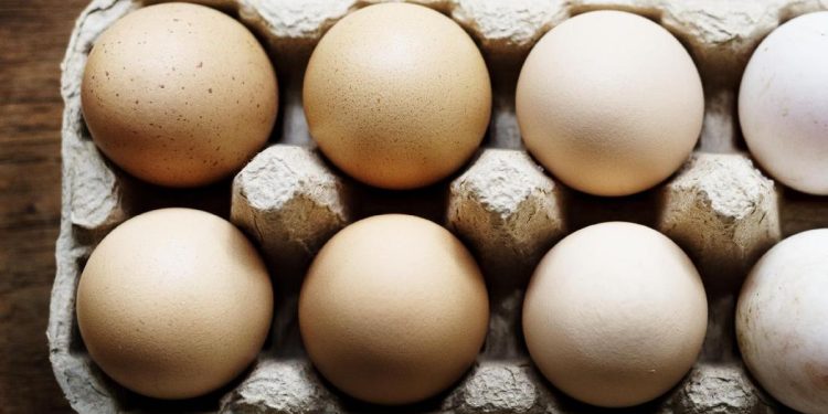 7 Makanan yang Tidak Boleh Dikonsumsi Bersamaan dengan Telur, Apa Saja?