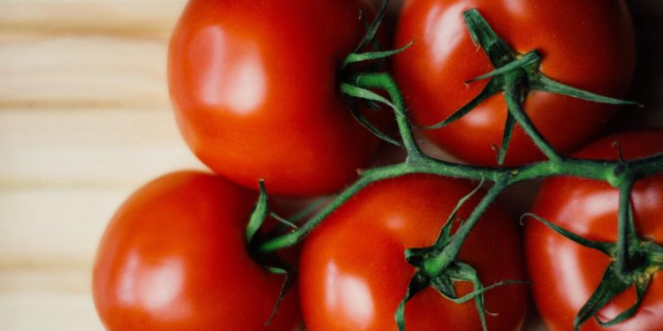 7 Manfaat Makan Tomat yang Luar Biasa Termasuk Menurunkan Tekanan Darah