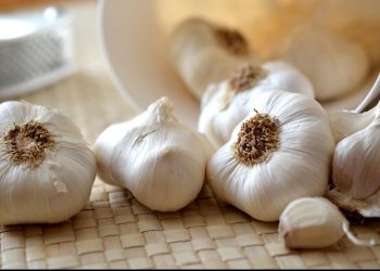 Rutin Mengonsumsi Air Rebusan Bawang Putih, Apakah Ada Efek Sampingnya?