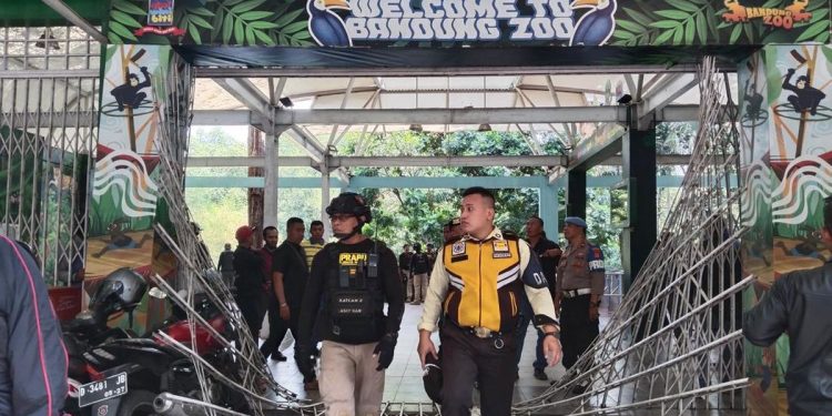 Nasib Satwa Setelah Penutupan Operasional Kebun Binatang Bandung