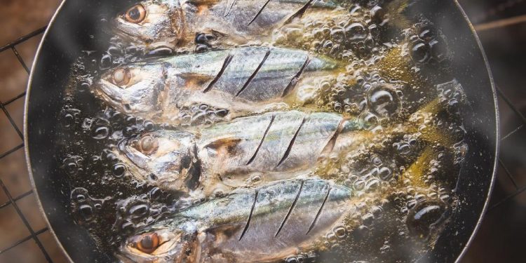 Ikan Kaya Vitamin D, Termasuk Ikan Kembung