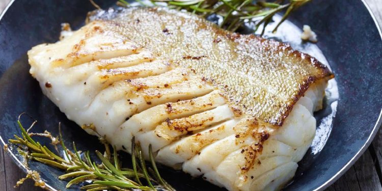 Hindari 10 Jenis Ikan dengan Kandungan Merkuri Tinggi yang Dapat Merusak Otak