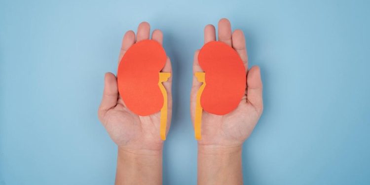 10 Tanda Awal Masalah Ginjal yang Perlu Diperhatikan Sebelum Terlambat