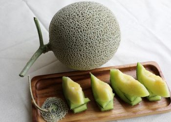 Manfaat Melon untuk Kesehatan Ginjal dan Mengeluarkan Racun Melalui Urine