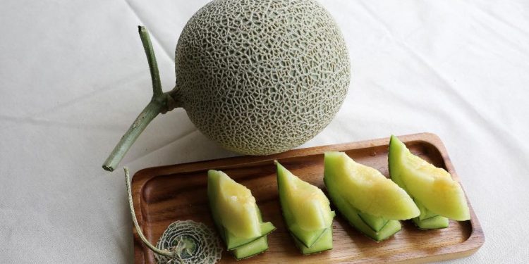 Manfaat Melon untuk Kesehatan Ginjal dan Mengeluarkan Racun Melalui Urine