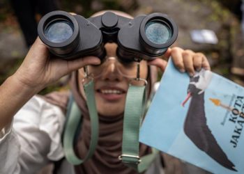 Wisata Seru Pengamatan Burung Alam Liar di Kepulauan Seribu