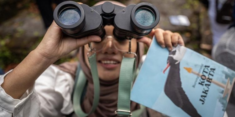 Wisata Seru Pengamatan Burung Alam Liar di Kepulauan Seribu