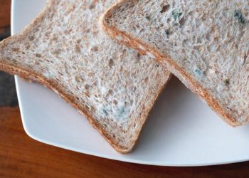 Ini 5 Efek Sering Diabaikan Makan Makanan Basi Terhadap Tubuh