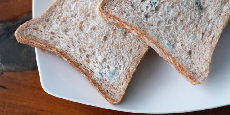 Ini 5 Efek Sering Diabaikan Makan Makanan Basi Terhadap Tubuh