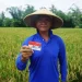 Momentum Hari Tani Salurkan Pembiayaan dan Pemberdayaan Inklusif untuk Pertanian