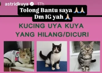 Nasib Belasan Kucing Usai Penjarahan, Sherina Munaf Awasi Penjualan Kucing Tersebut