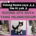 Nasib Belasan Kucing Usai Penjarahan, Sherina Munaf Awasi Penjualan Kucing Tersebut
