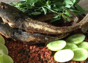 Menu Ekonomis, 5 Manfaat Mengonsumsi Ikan Lele Setiap Hari
