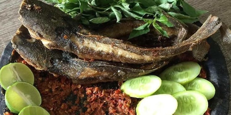Menu Ekonomis, 5 Manfaat Mengonsumsi Ikan Lele Setiap Hari
