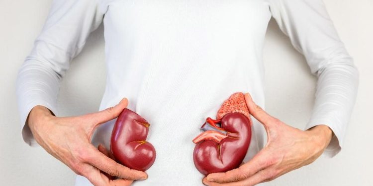 Awas Anak Muda, 8 Kebiasaan Harian Ini Bisa Merusak Ginjal