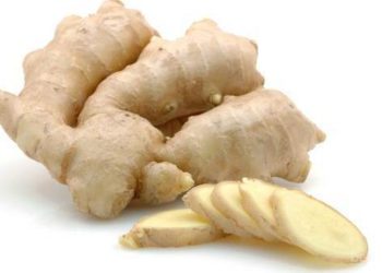 Kunyit Putih dan Manfaatnya untuk Mengobati Berbagai Penyakit