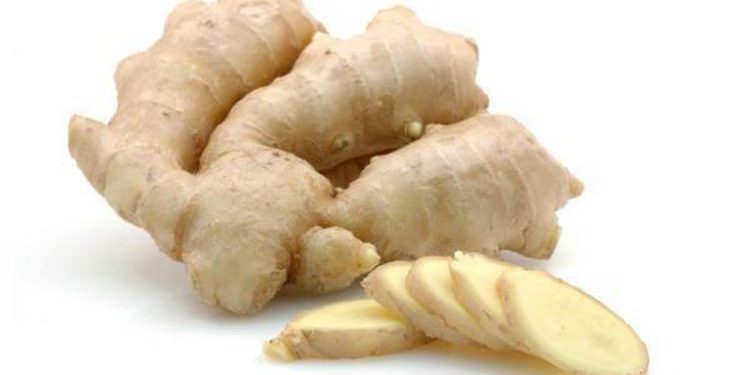 Kunyit Putih dan Manfaatnya untuk Mengobati Berbagai Penyakit