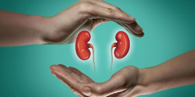 4 Minuman yang Dapat Memperburuk Kesehatan Ginjal dan Harus Dihindari