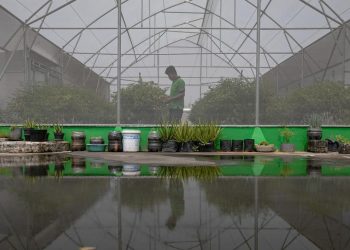 Mengunjungi Green House di Puncak Pasar Mayestik