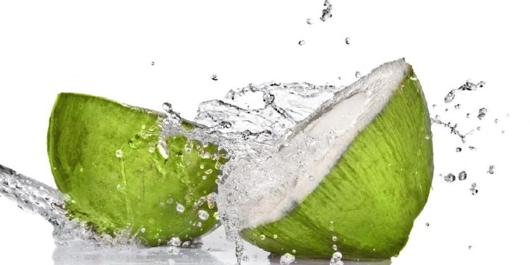 Rahasia Kesehatan di Balik Kebiasaan Minum Air Kelapa Setiap Hari