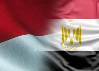 Ratusan Ribu Warga Mesir Mengagumi Presiden RI Sebagai Pembawa Perdamaian