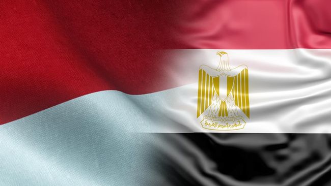 Ratusan Ribu Warga Mesir Mengagumi Presiden RI Sebagai Pembawa Perdamaian