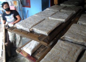 Makan Tahu dan Tempe Apakah Aman untuk Kesehatan?