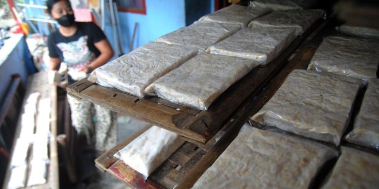 Makan Tahu dan Tempe Apakah Aman untuk Kesehatan?