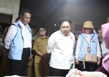 Swasembada Beras Terancam, Titiek Soeharto Tegaskan Kepatuhan Larangan Impor