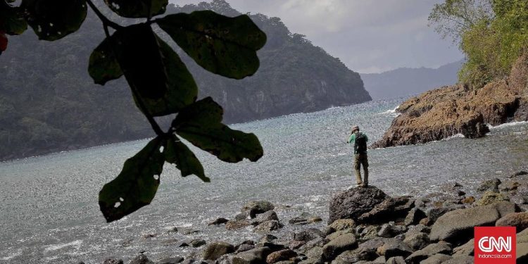 Turis Kembalikan Batu Alam dari Pulau Wisata Setelah 10 Tahun Mengambilnya