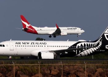 Maskapai Larang Bawa Hewan Besar Setelah Banyak Staf Cedera dalam Penerbangan