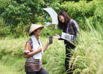 KUR Dorong Kenaikan Omzet UMKM hingga Dua Digit, Ini Buktinya