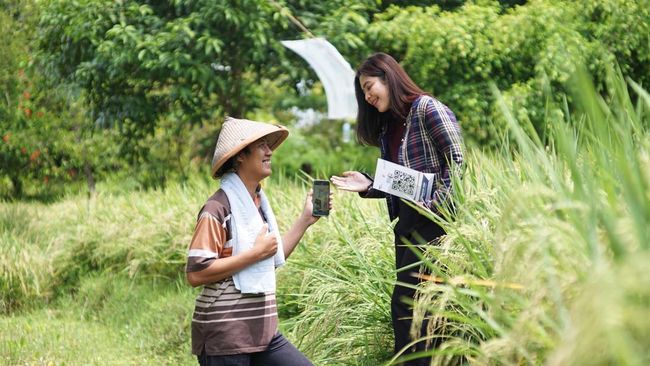KUR Dorong Kenaikan Omzet UMKM hingga Dua Digit, Ini Buktinya