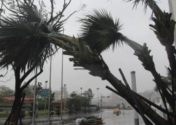 Petaka Maut Ditinggalkan Tetangga RI Menuju Taiwan, Warga Dievakuasi