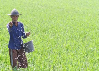 Subsidi Pupuk Diubah, Momentum Efisiensi untuk Industri Pupuk Nasional