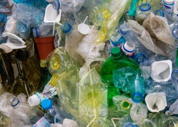 Inovator Indonesia dan Transformasi Bioplastik menuju Ekonomi Sirkular