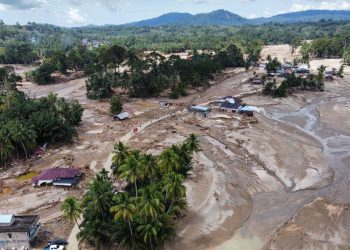 Menteri Lingkungan Hidup Hentikan Operasional Tambang Sawit dan PLTA di Sumatera