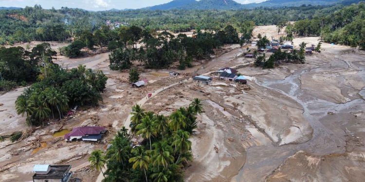 Menteri Lingkungan Hidup Hentikan Operasional Tambang Sawit dan PLTA di Sumatera