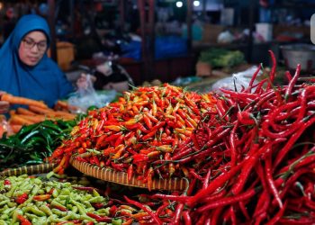 Cabai Rawit Merah Capai Rp 74 Ribu, Harga Telur Ayam Juga Ikut Meningkat