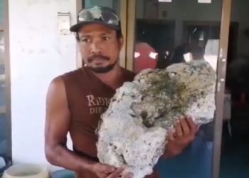 Sumatra Tawarkan Harta Karun Incaran China dengan Harga Sampai Rp500 Juta per Kg