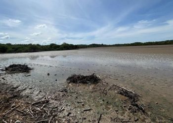 Produksi Tambak Garam Raksasa di Rote Ndao Dimulai Maret 2026