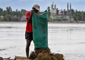 Rehabilitasi Sawah Pascabencana Sumatera Oleh Kementan, Target dan Skemanya