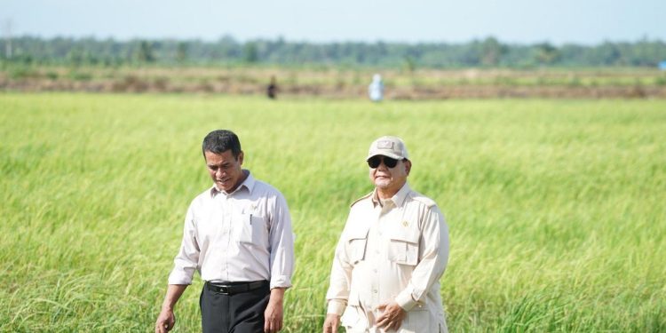 Swasembada Pangan Kembali Dicapai Indonesia di Era Prabowo