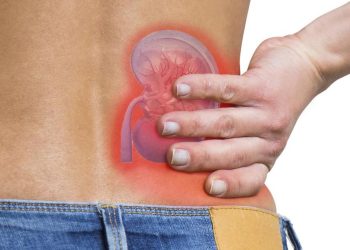 Waspada Kanker Ginjal Penyakit Senyap yang Sering Terlambat Terdeteksi