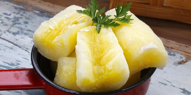 7 Dampak Negatif Konsumsi Singkong Berlebihan bagi Kesehatan