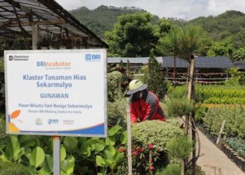 BRI Dukung lebih dari 42 ribu klaster usaha untuk pemberdayaan ekonomi