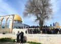 Wisata Religi Sakral di Kompleks Masjid Al Aqsa